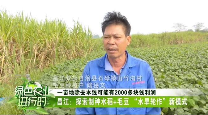 40.jpg