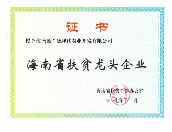  海南省扶贫龙头企业 