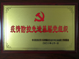 20年疫情防控先进基层党组织